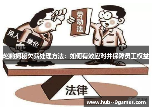 赵鹏揭秘欠薪处理方法：如何有效应对并保障员工权益