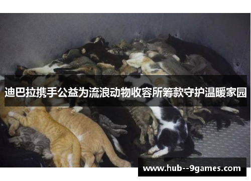 迪巴拉携手公益为流浪动物收容所筹款守护温暖家园