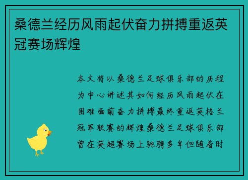 桑德兰经历风雨起伏奋力拼搏重返英冠赛场辉煌 桑德兰经历风雨起伏奋力拼搏重返英冠赛场辉煌