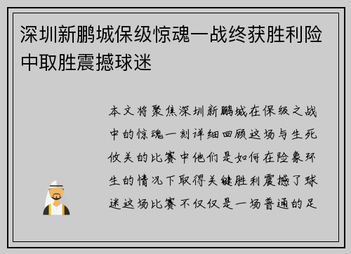 深圳新鹏城保级惊魂一战终获胜利险中取胜震撼球迷