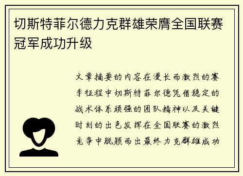 切斯特菲尔德力克群雄荣膺全国联赛冠军成功升级 切斯特菲尔德力克群雄荣膺全国联赛冠军成功升级